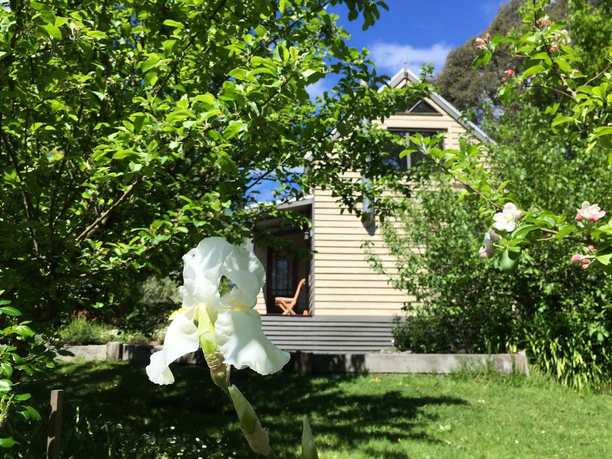 Brigadoon Cottages Haunted Hills Exterior photo